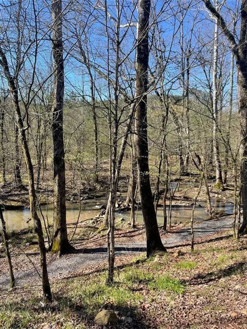 118 Hidden Pines Loop, Broken Bow