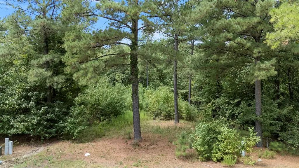 179 Coffee Tree Trail, Broken Bow