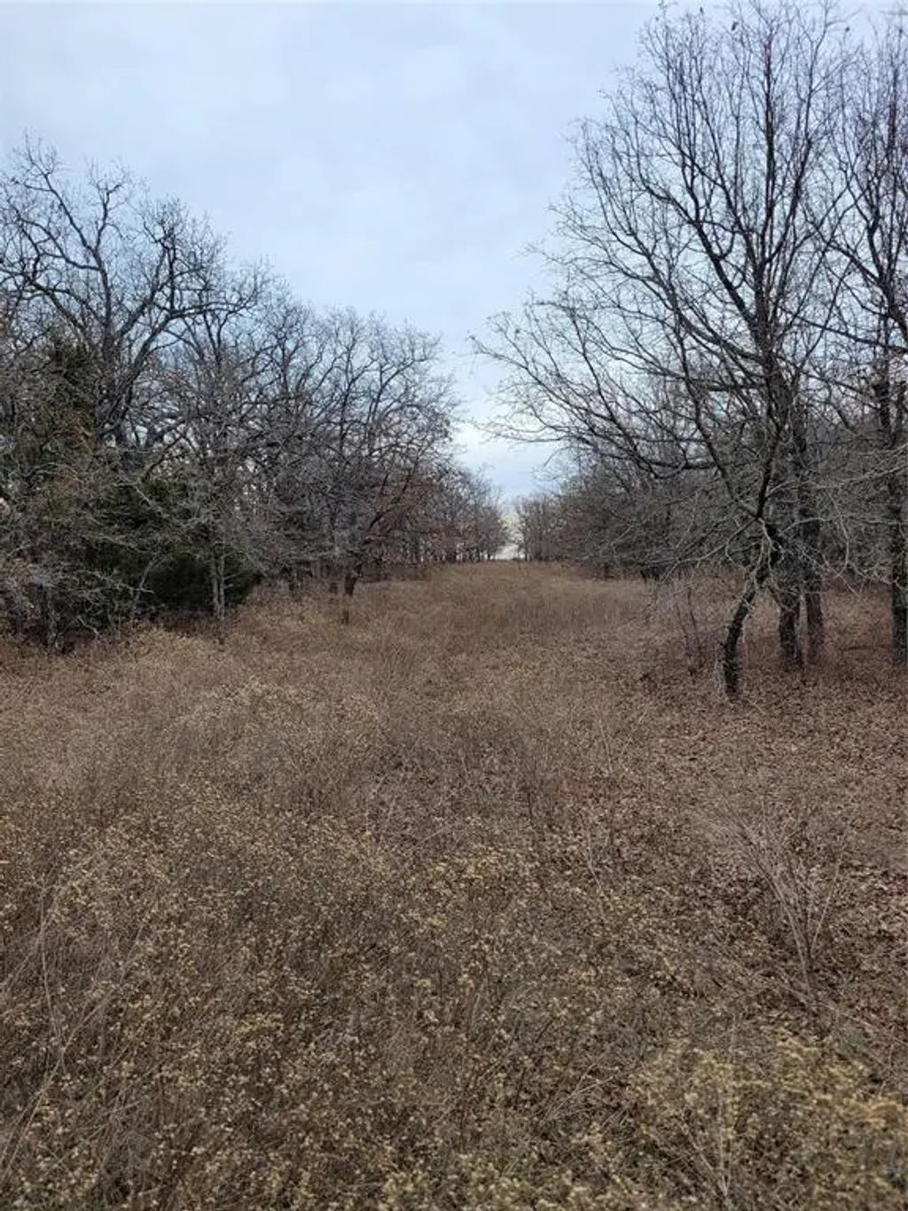 N County Road 3049, Lindsay