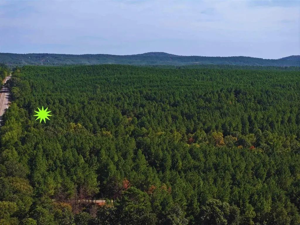 32 Wayward Pine Trl Trail, Broken Bow