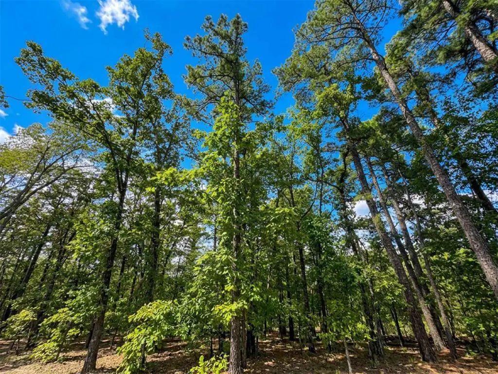 1054 Carter Mountain Trail, Broken Bow