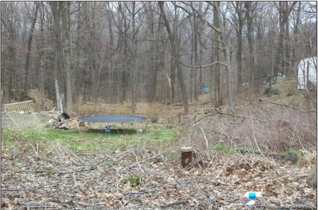 48 Paradise Trail, Blooming Grove