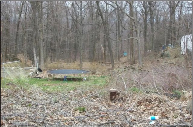 48 Paradise Trail, Blooming Grove