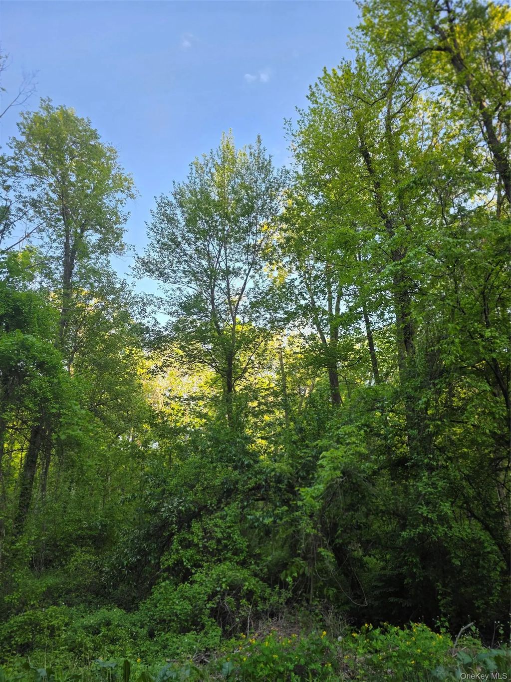 122 Archer Rd, Mahopac