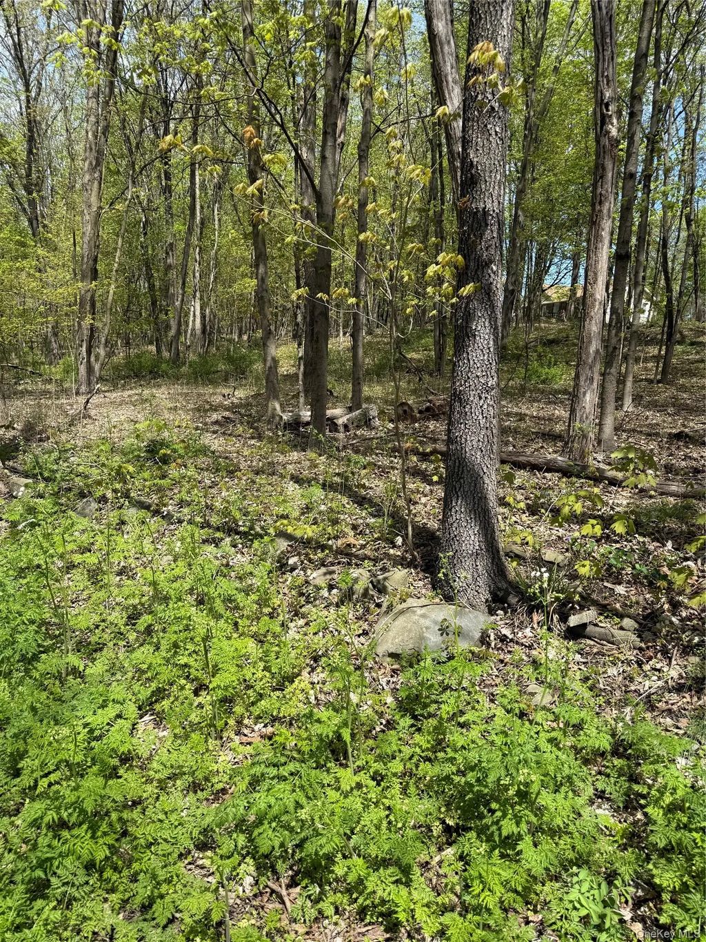 120 Floyd Ackert Road, Esopus
