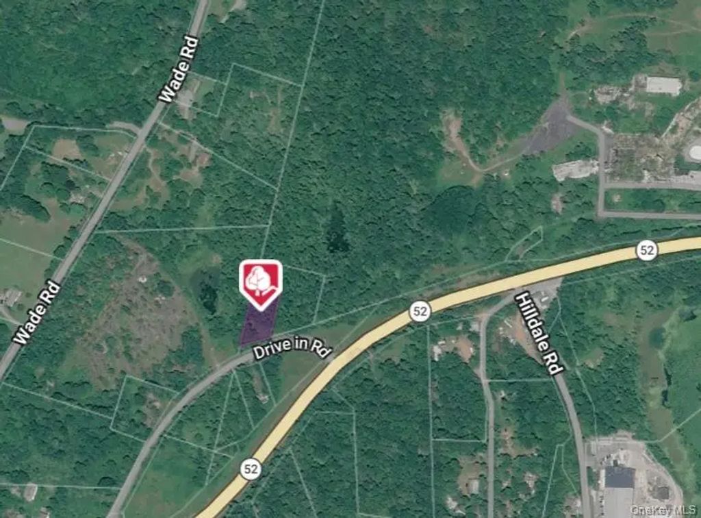 Drive In, Fallsburg