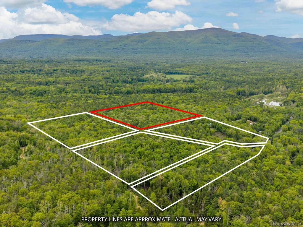 40 Mamoud Hills, Lot #4 Road, Kingston