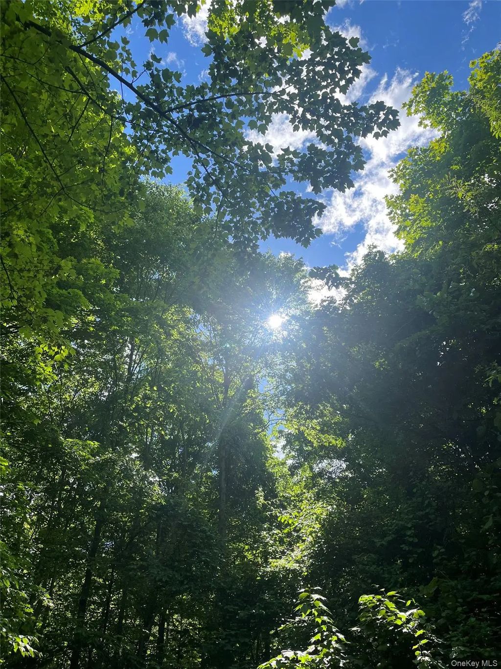 Old Church Road, Putnam Valley