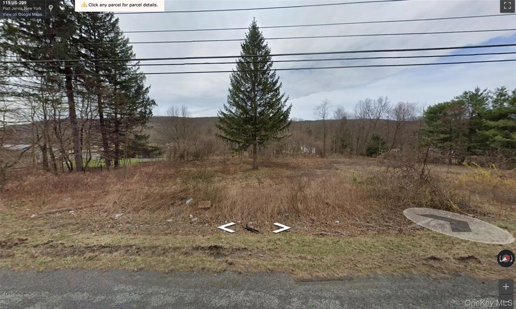 113 Route 209, Port Jervis