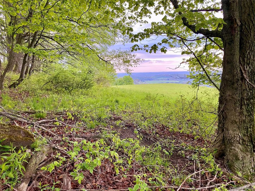 301 & 305 Hust Road Hust, Callicoon