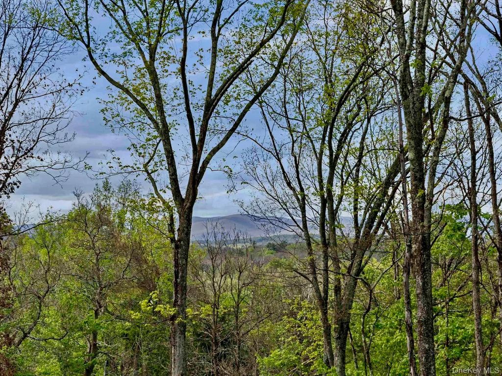 Tbd Route 44/55, Kerhonkson
