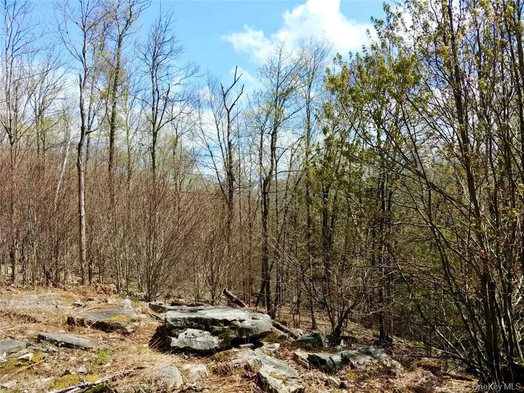 Shandelee Road, Livingston Manor