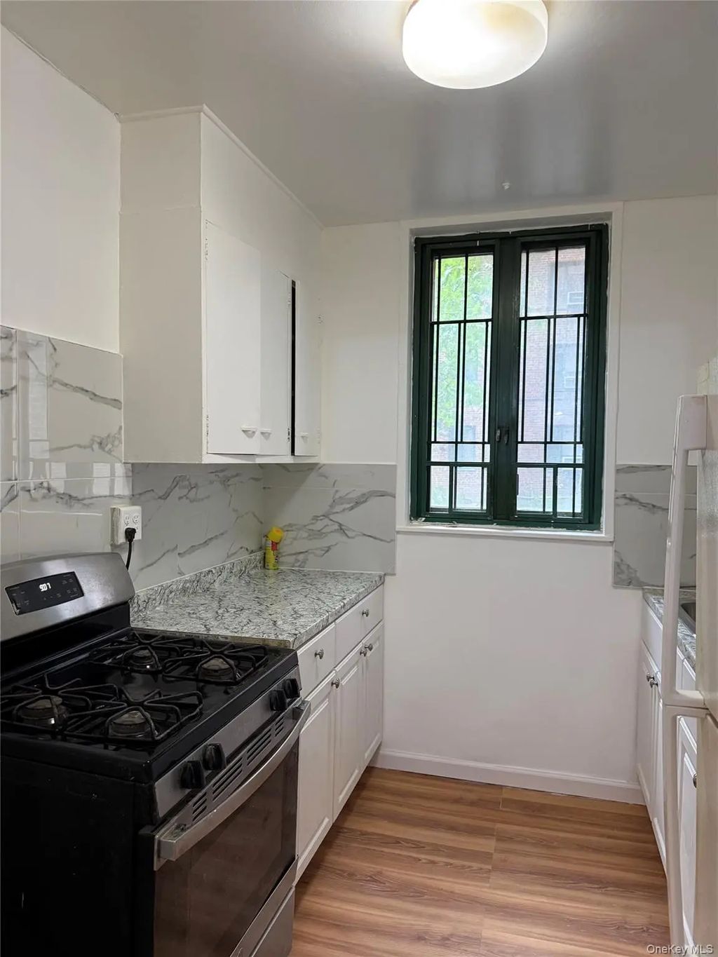1501 Metropolitan Avenue # Mg, Bronx