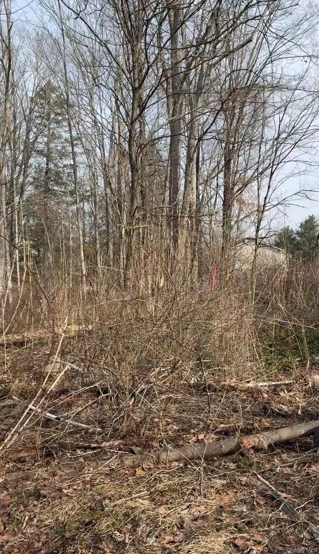 19 & 25 Clearbrook Drive, Mahopac