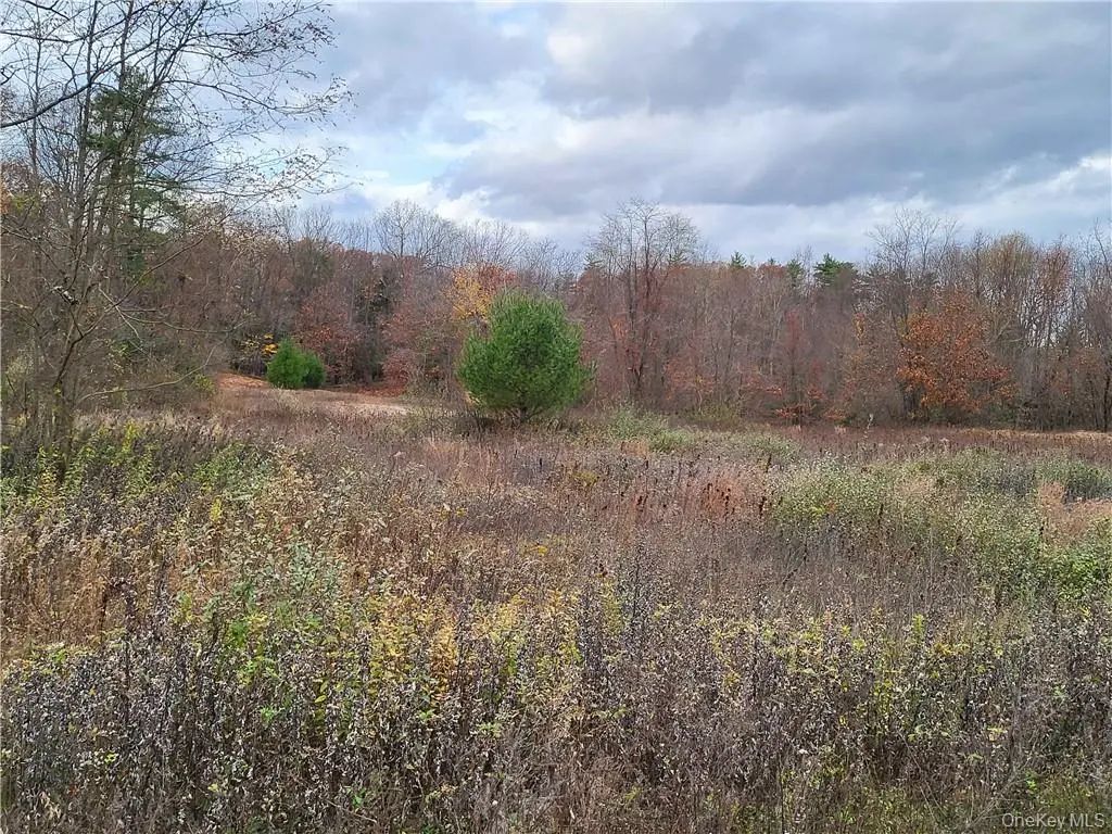 Ashley Drive - Lot 5, Rosendale