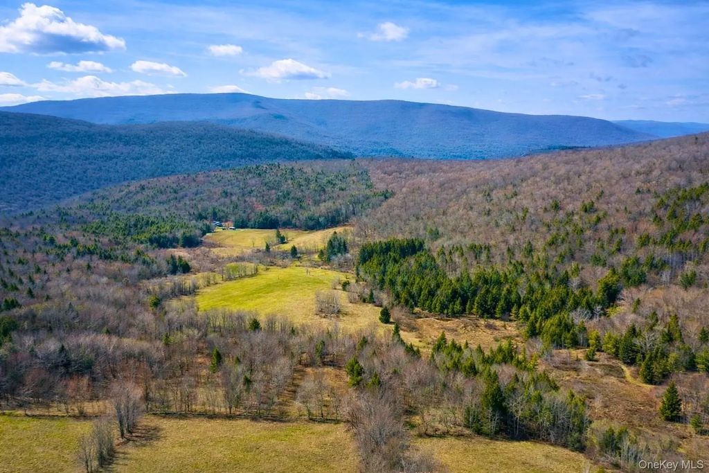 Hog Mountain, Fleischmanns