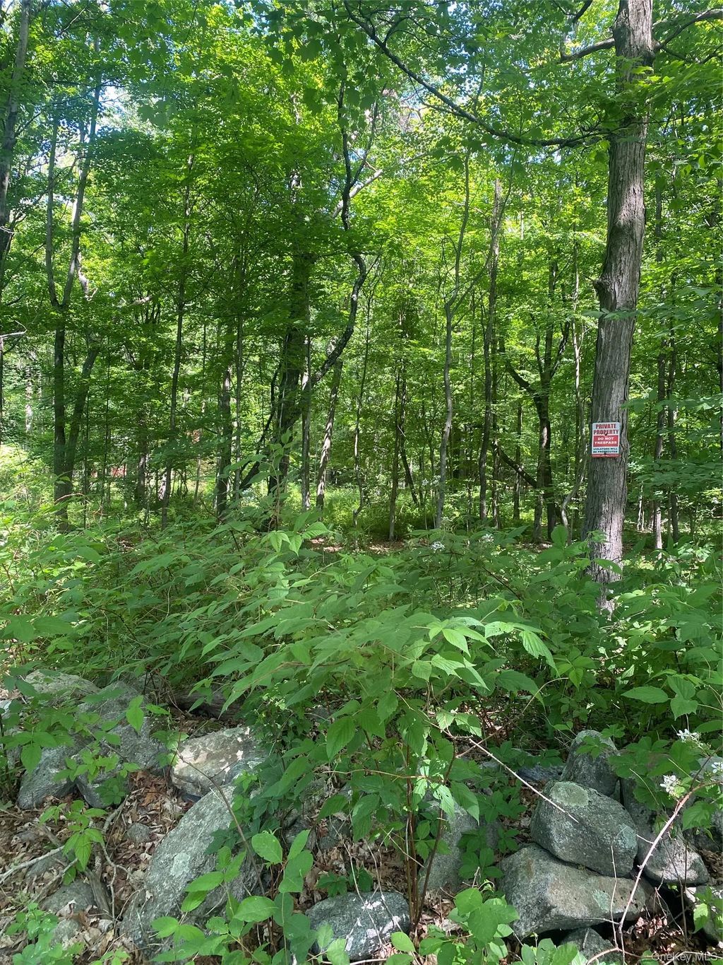 123 Meads Farm Road, Stormville