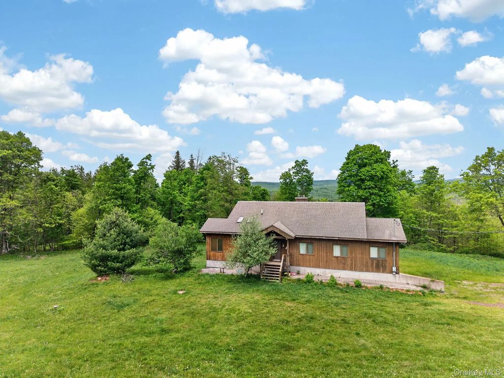 81 N Pond Drive, Livingston Manor
