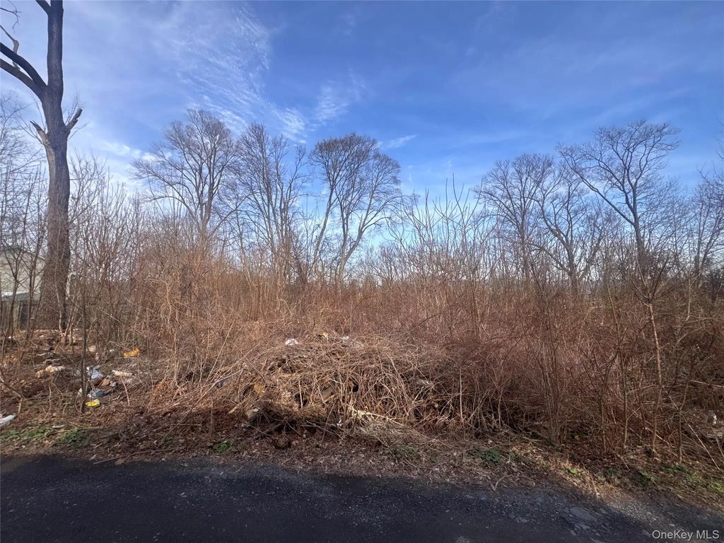 121 Robinson Avenue, Newburgh