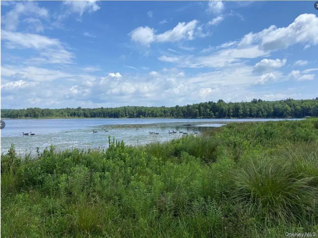 15 Bailey Lake Road # #-1, Kiamesha Lake