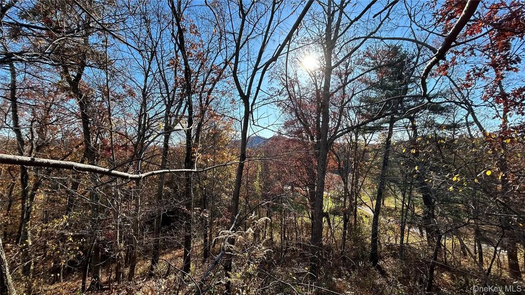 66 Ryan Road, Pine Plains