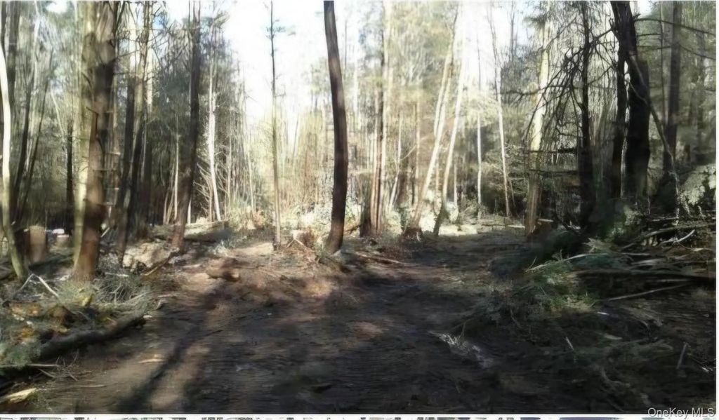 24-12 Parks Rd, White Sulphur Spring