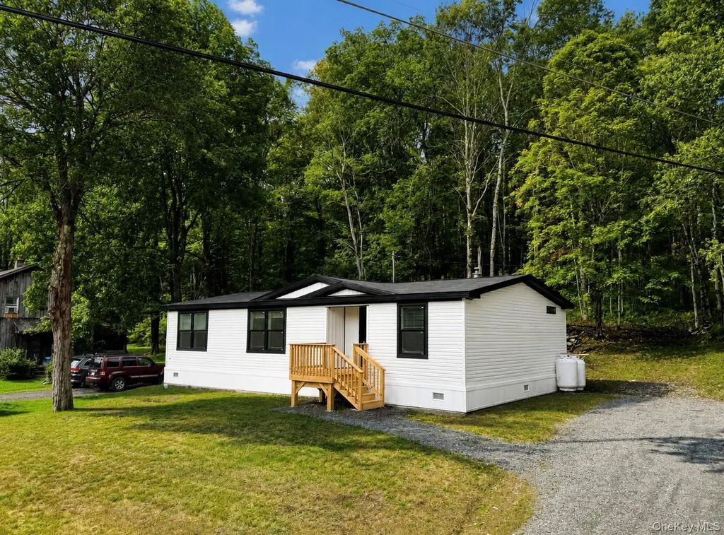 256 Main Street, Livingston Manor