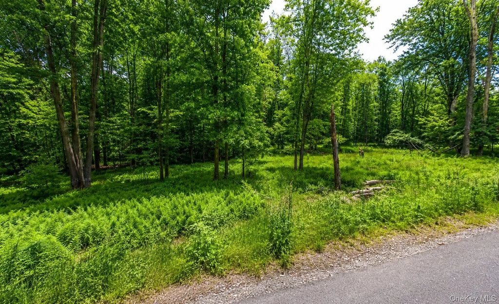 135 Rose Valley, Thompsonville