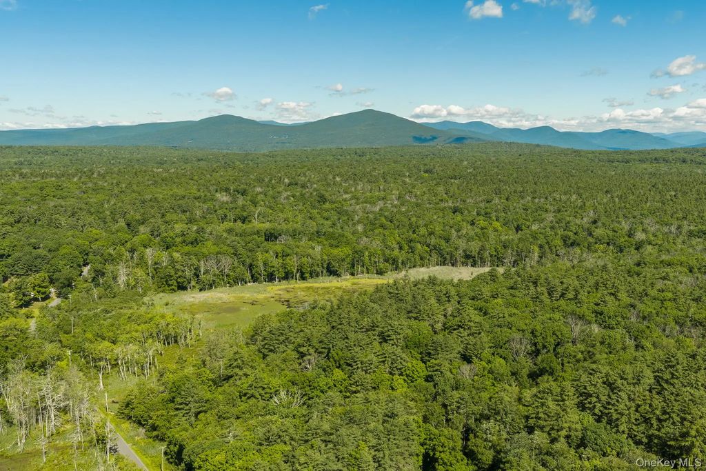 Tbd Buck Road, Stone Ridge