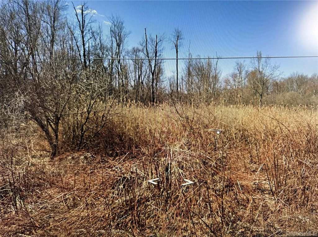 Clove Road, Blooming Grove
