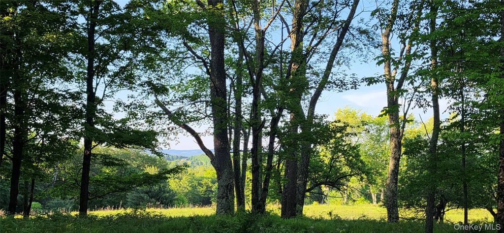 Lot 1.35 W Shore Road, Bethel