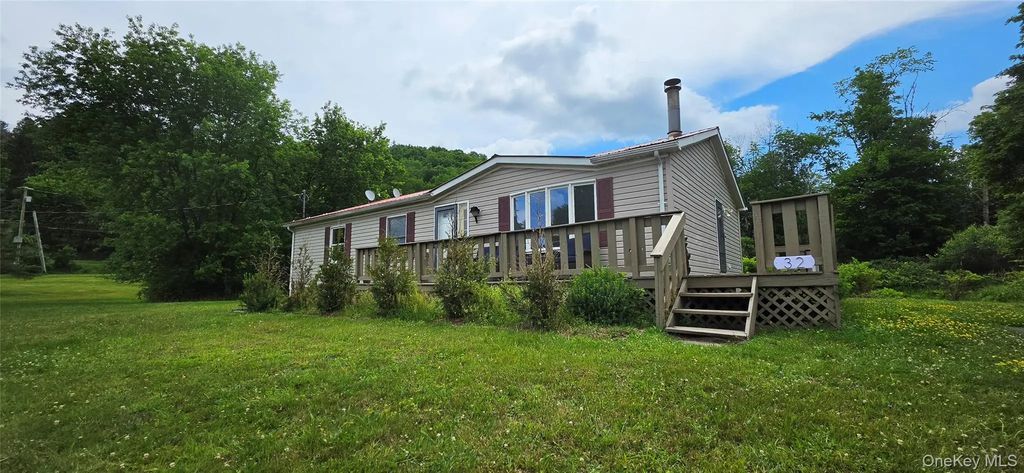 32 Meadow Street # 17b, Livingston Manor
