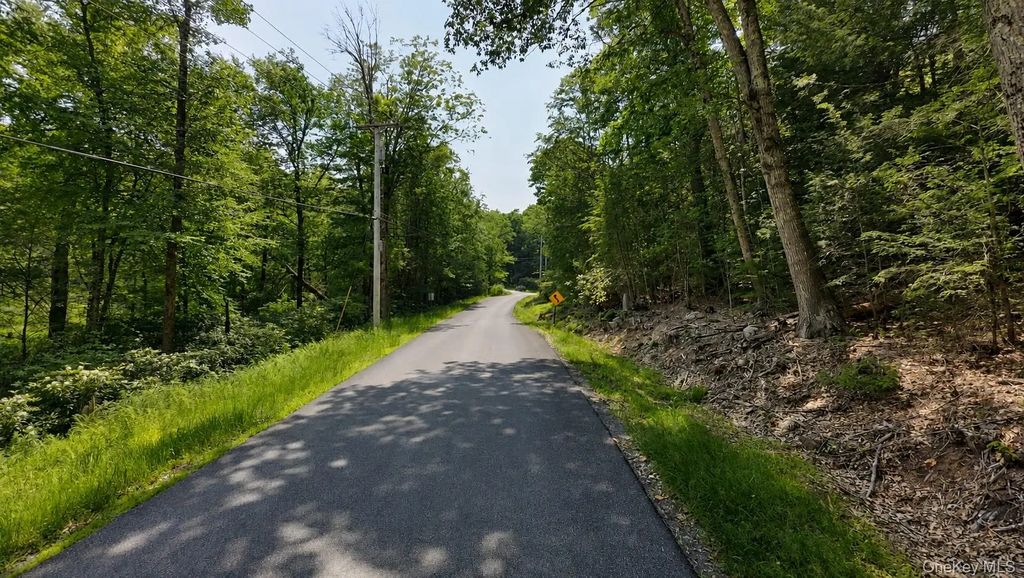 Taylor Road, Mountain Dale