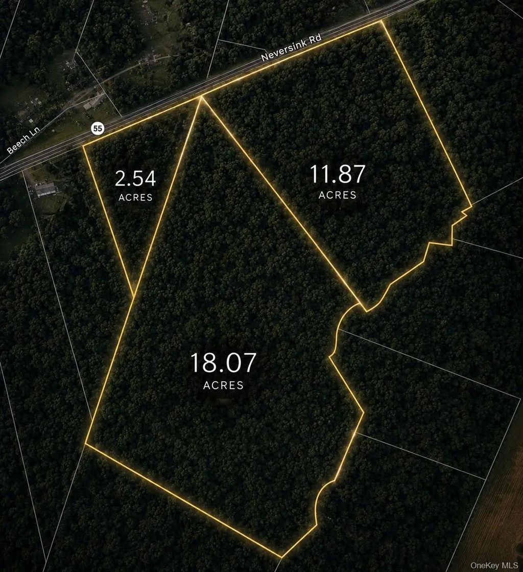 3 Lots Neversink Road, Liberty