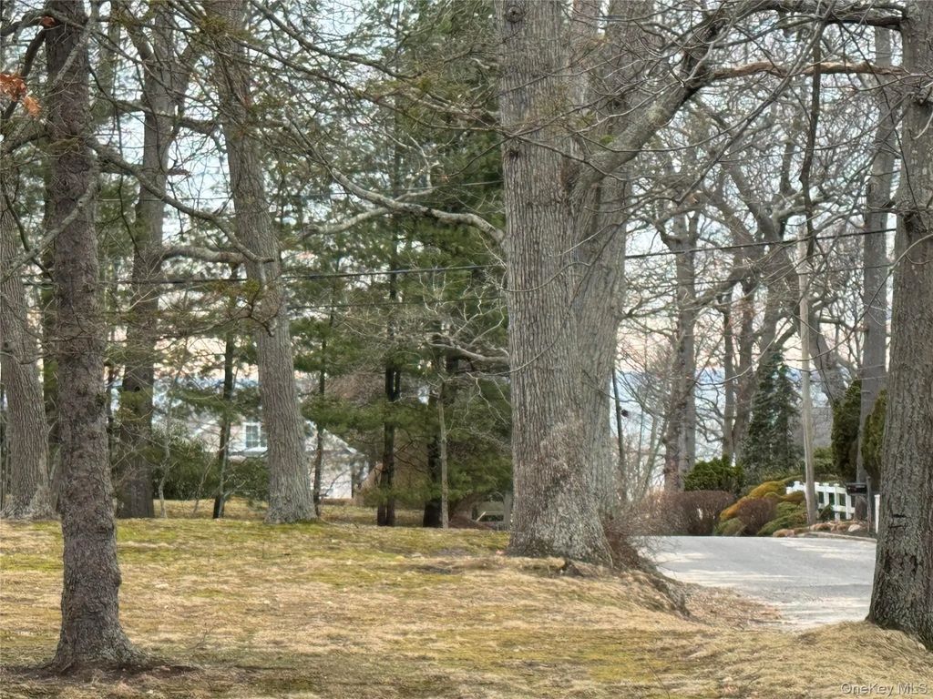 Dogwood Drive, Stony Brook