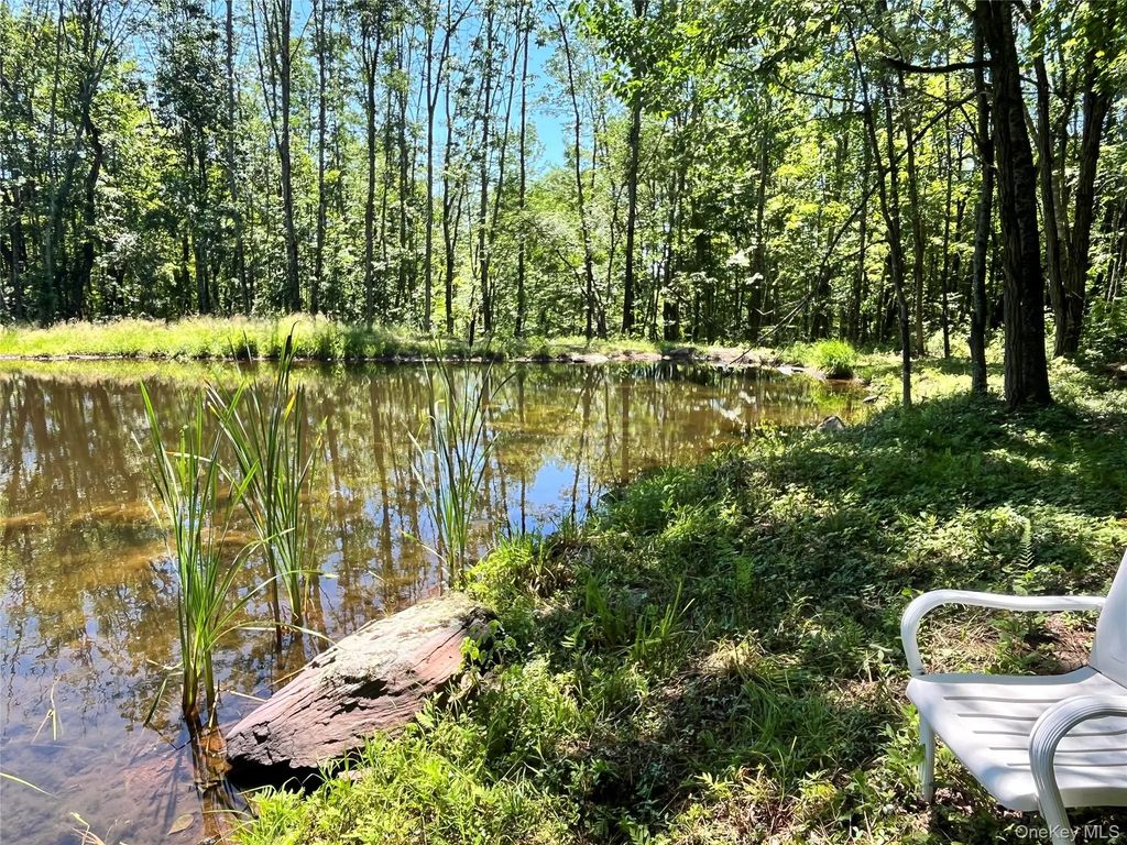 Upper Pond Dahlia Road W, Livingston Manor