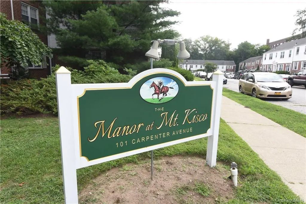 101 Carpenter Avenue # E12, Mount Kisco