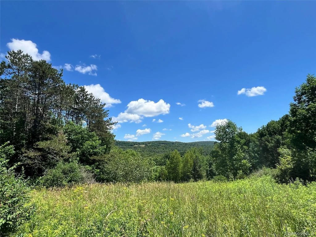 Lower Pond Dahlia Road W, Livingston Manor