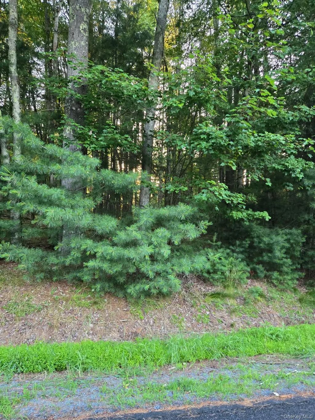 Horseshoe Lake Road, Bethel
