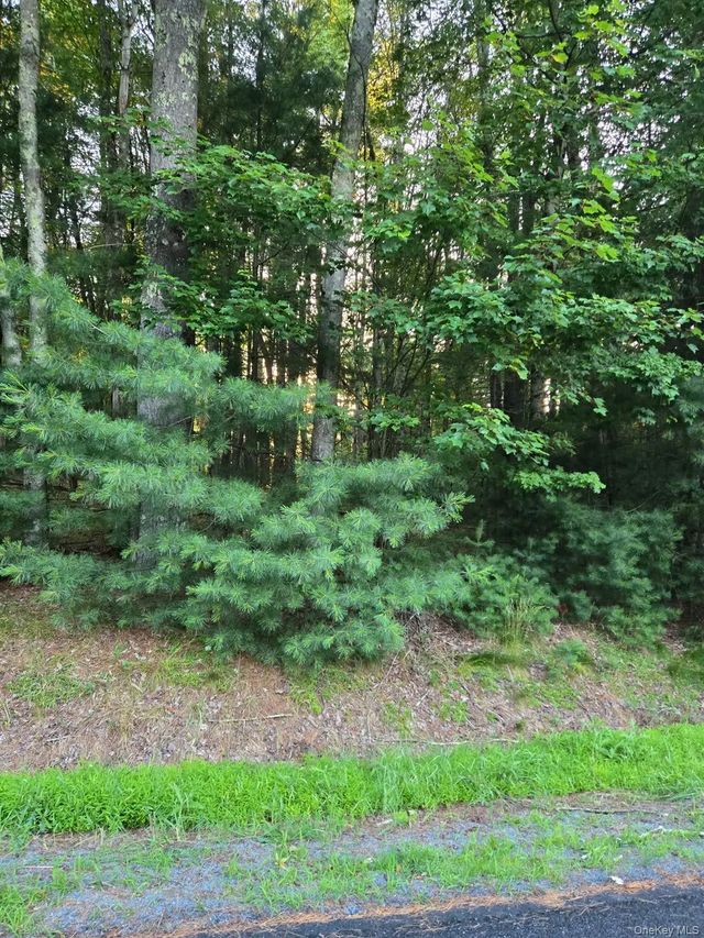 Horseshoe Lake Road, Bethel