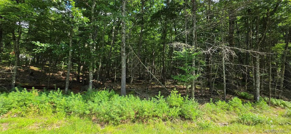 Lot 34.25 Lakeview Drive Road, Highland Lake