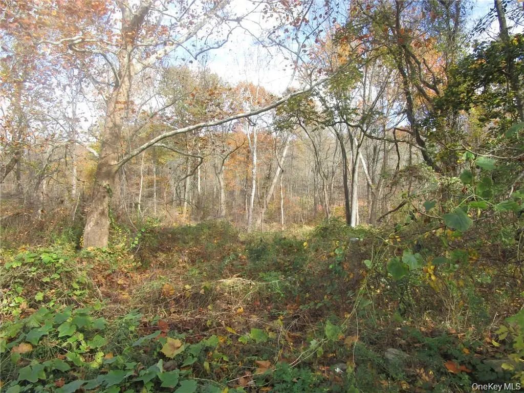 3766 Foothill Street, Mohegan Lake