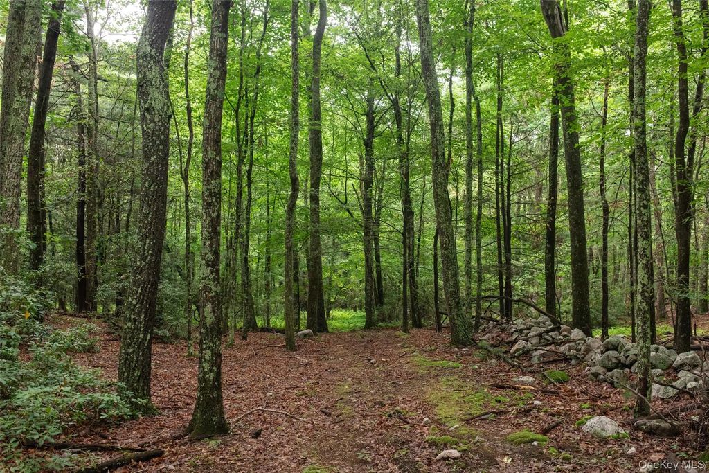 3789 State Route 52, Pine Bush