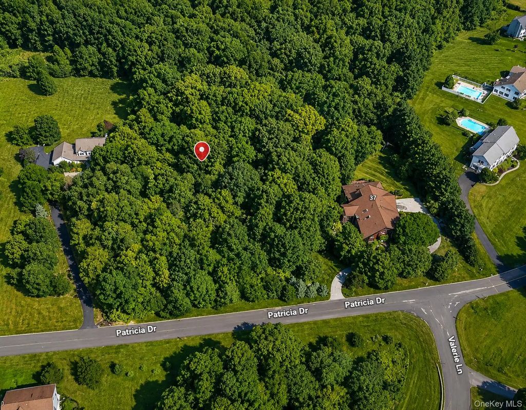 Patricia Drive, Pleasant Valley