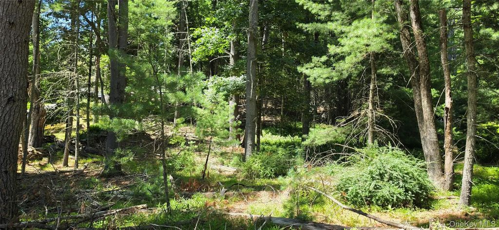 Lot # 7 Irishtown Road, Narrowsburg