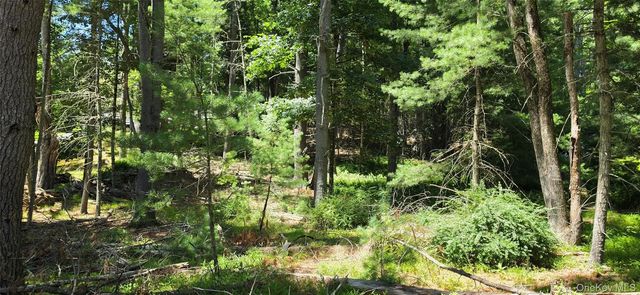 Lot # 7 Irishtown Road, Narrowsburg