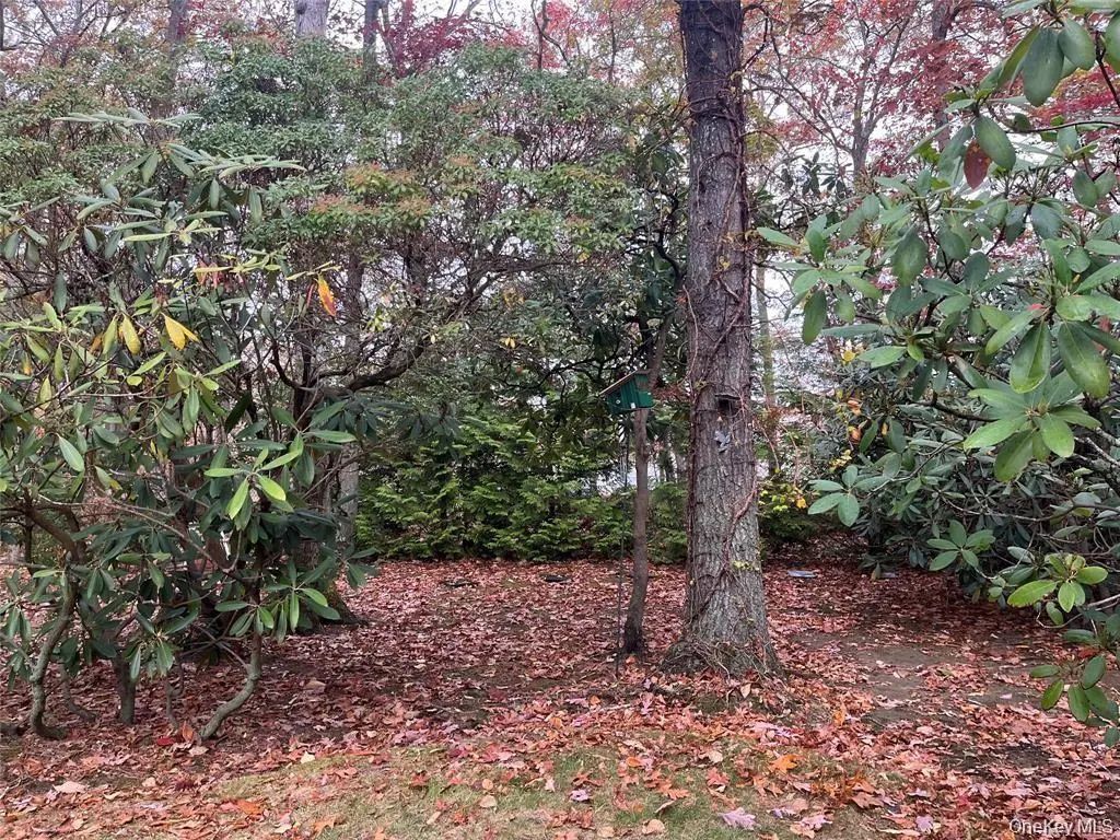 Lot 16 Fox Hunt Lane, Yaphank