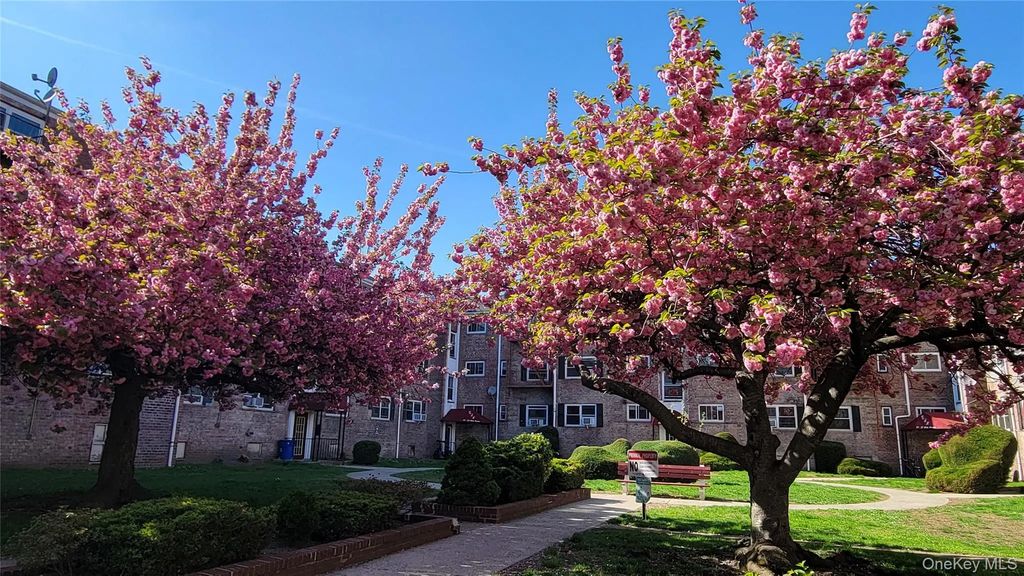 65-30 Grand Central Parkway # 1a, Forest Hills