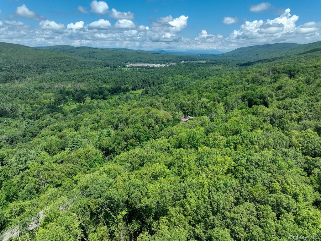 Mamakating Road, Wurtsboro
