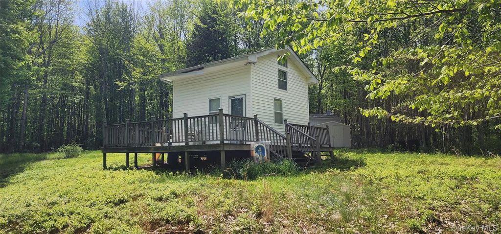 1433 County Route 56 Lane, Mountain Dale